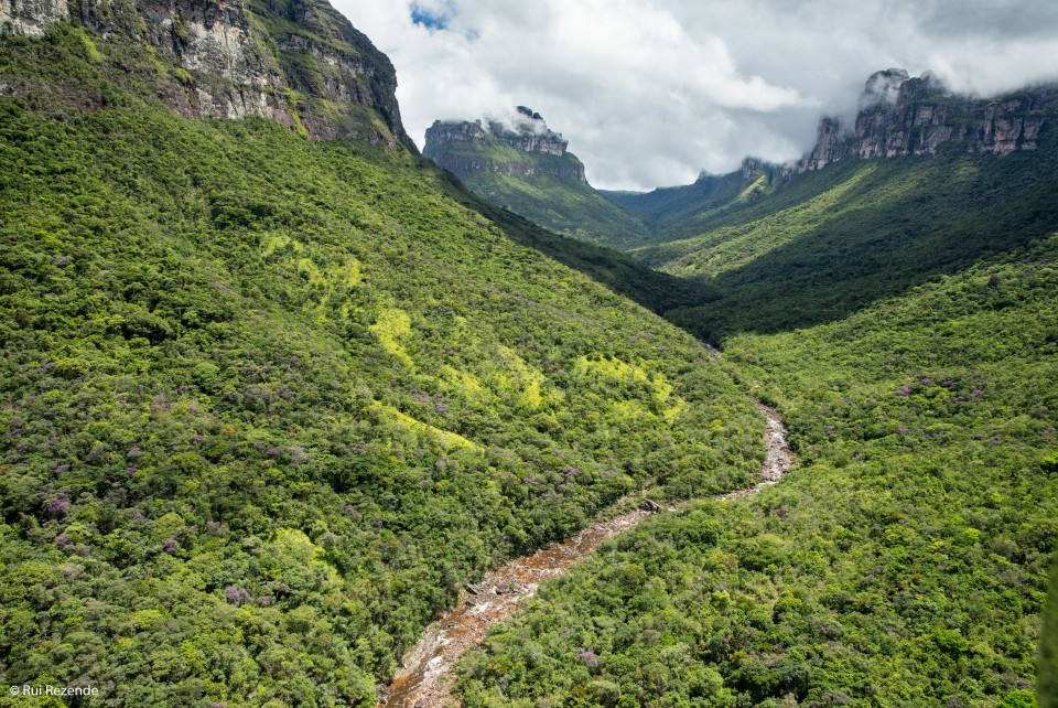Vale do Pati
